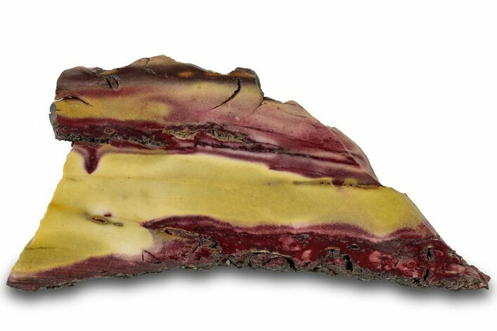 Vibrant Polished Mookaite Jasper Slice - Australia #314288